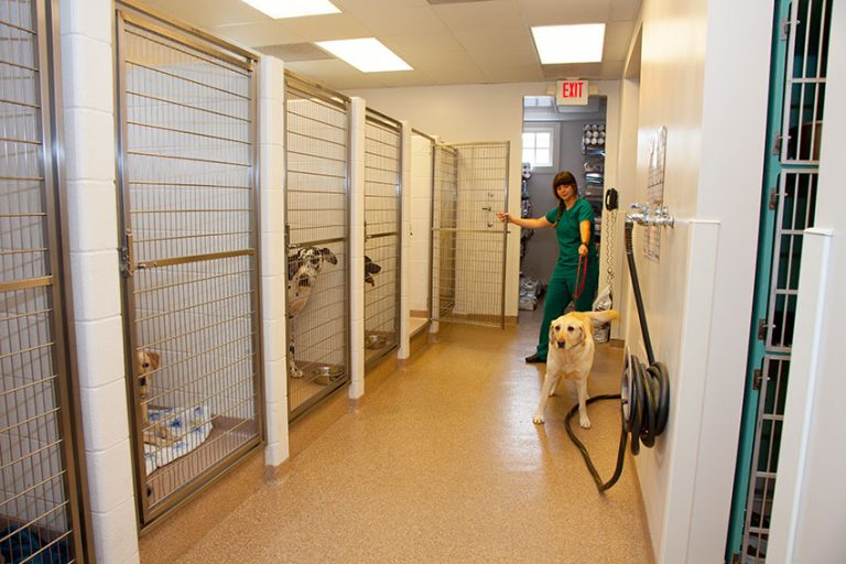 Richmond, VA Veterinarian - Bon Air Animal Hospital - Hospital Tour